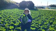 規格外野菜が「石けん」に変身！廃棄食材を有効活用し“食品ロス”減らす　野菜のほかに「ひじき」「キクラゲ」も【アスヨク！】