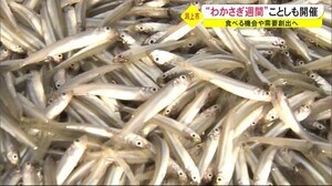 “わかさぎ週間”で需要創出へ 秋田・潟上市