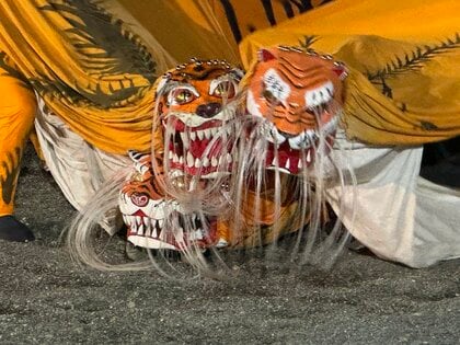 “激しく熱い”大槌祭り　踊りや舞いに見る人の生きざまと濃密な関係