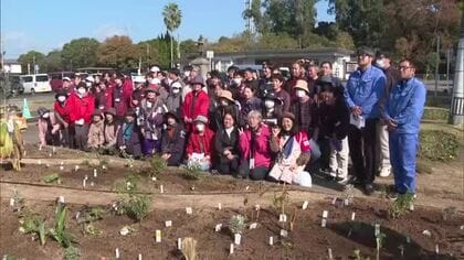 2年後の国スポ障スポに向けて日南駅前の花壇　花でおもてなし