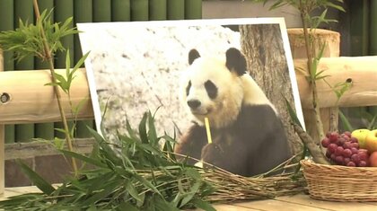 「生まれて間もなく子供を亡くしたタンタンに自らを重ね合わせて…」　さよならタンタン　神戸市民を勇気づけたパンダ　別れ惜しみ手を合わせる人たち