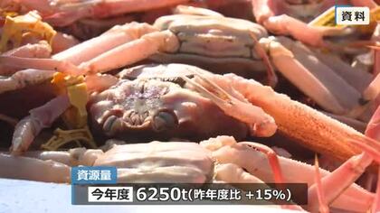 越前がに資源量が過去10年で最高水準　漁期は例年通りオスは3月20日まで、雌は年末まで、水ガニは2月からの1カ月間　福井