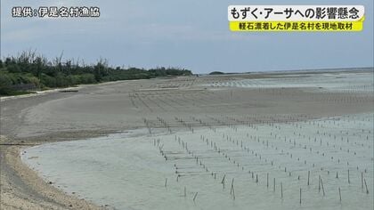 軽石の漂着で漁できず、もずく・アーサの養殖に影響の恐れも…伊是名島が国や県に訴え【沖縄発】