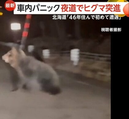「怖い、怖い、襲われる」北海道2mのヒグマ車に突進「恐怖でギア入れられない」車内パニック　「人が出歩かない」秋田市は3連休も50件超の出没情報
