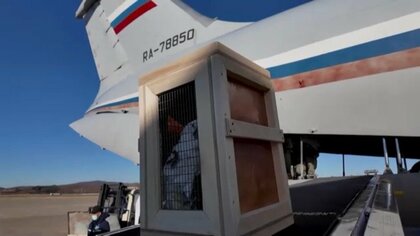 「モスクワと平壌の動物園の友情」北朝鮮の動物園にプーチン大統領がライオンや熊など70以上の動物贈る　“蜜月”強調