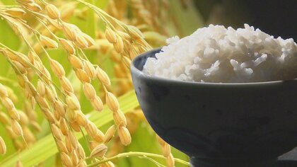 【令和の米騒動その後】「お茶碗1杯50円前後」高値続くコメ…安定供給へ“適正な収穫量”確保が課題に「新潟がトップランナーになるため需要に応えたい」