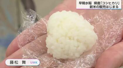 宮崎県産コシヒカリの新米！約5000円の値札にため息…それでも「待っ