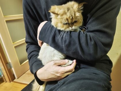 少しだけなら抱っこもさせてくれるようになった