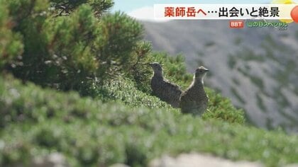 北アルプスの貴婦人』薬師岳の絶景 天然記念物「ライチョウ」や癒やし