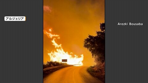 「何も残っていない」24時間で193件の山火事発生　少なくとも12人死亡　放火の可能性も　アルジェリア