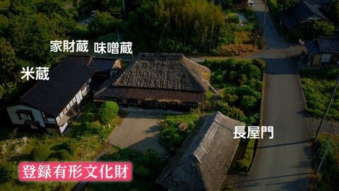 日本の文化財守る「DAO」に熱視線　6割が海外からの出資