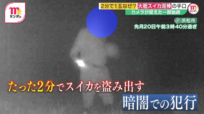 スイカを持ち去る男