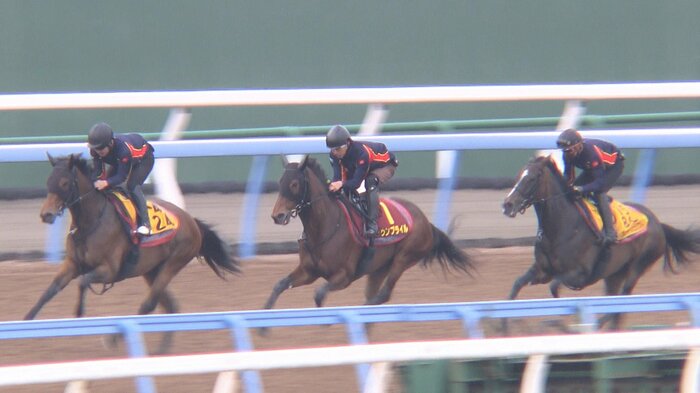最終追い切りを行うウンブライル(中)