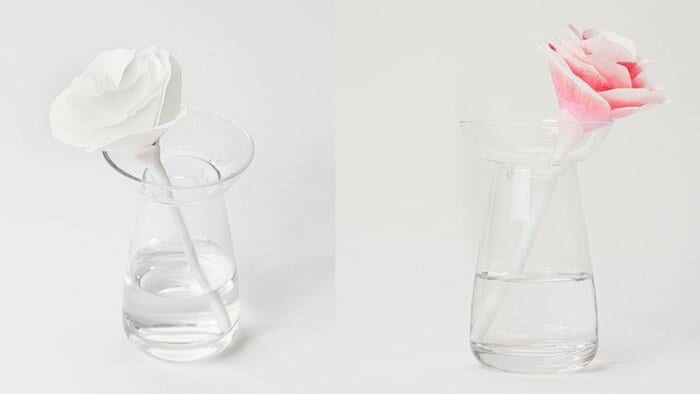 加湿器「フラワリンク」は水の吸収具合で色彩が変わる