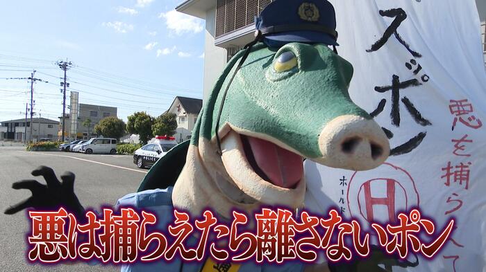 スッポンポリス