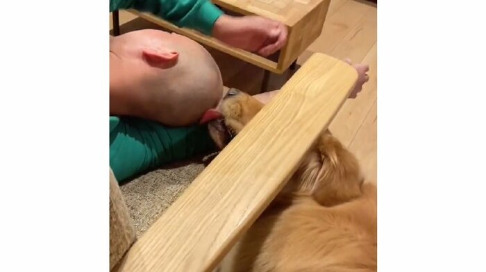 隙間からも狙ってくる
