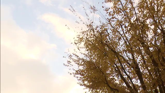 冬の景色で寂しさも増す?