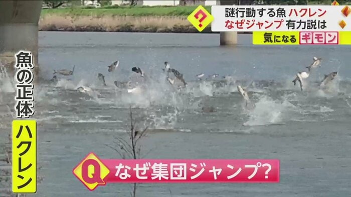 (FNN投稿サイト「ビデオPost」)