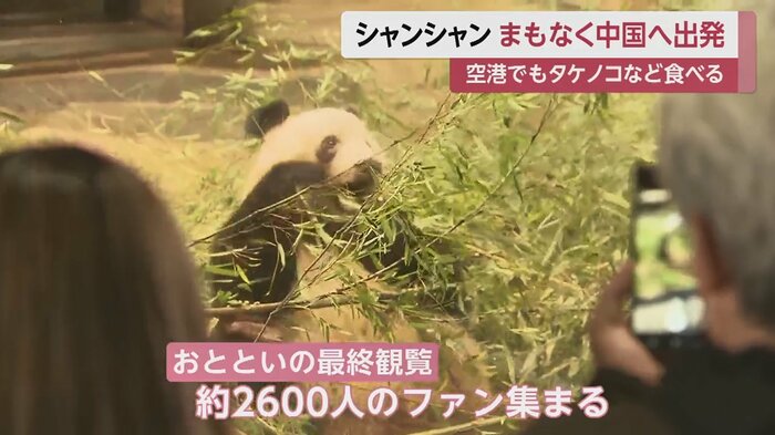 2月19日がシャンシャンの最終観覧だった