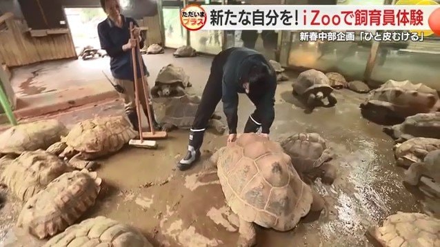 カメを動かそうとする光田アナ