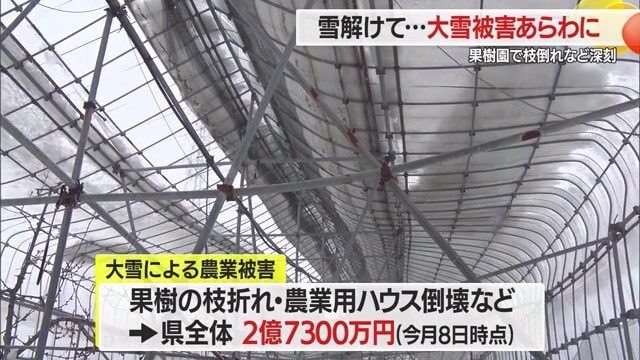 果樹の枝折れ・農業用ハウスの倒壊など、大雪による被害額が2億7000万円を超える