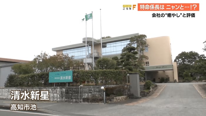 高知市池にある土木建設業の会社「清水新星」