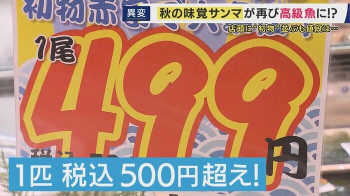 店頭に並ぶも500円超え