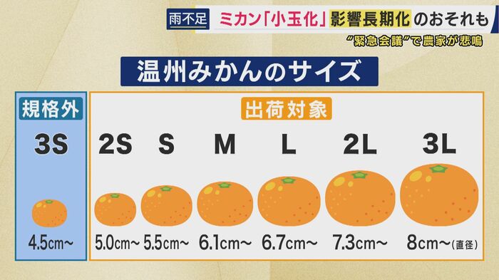 「3S」は規格外