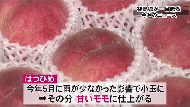 七夕にモモの初セリ…福島県の1週間