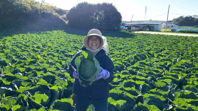 規格外野菜が「石けん」に変身！廃棄食材を有効活用し“食品ロス”減らす　野菜のほかに「ひじき」「キクラゲ」も【アスヨク！】｜FNNプライムオンライン