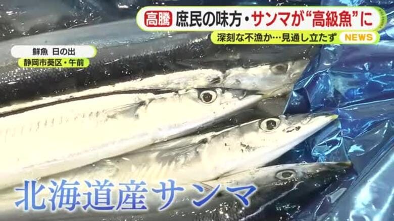 庶民の味方・サンマ　1匹1000円の“高級魚”に　ぜいたくな秋の味覚　深刻な不漁か…見通し立たず　食卓の救世主は“イワシ”1匹120円｜FNNプライムオンライン