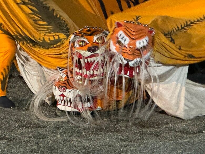 “激しく熱い”大槌祭り 踊りや舞いに見る人の生きざまと濃密な関係|FNNプライムオンライン