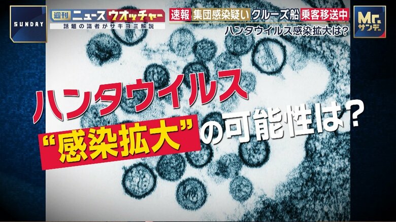 ハンタウイルス集団感染疑いのクルーズ船がテネリフェ島に到着 乗客は隔離対応も住民には不安|FNNプライムオンライン