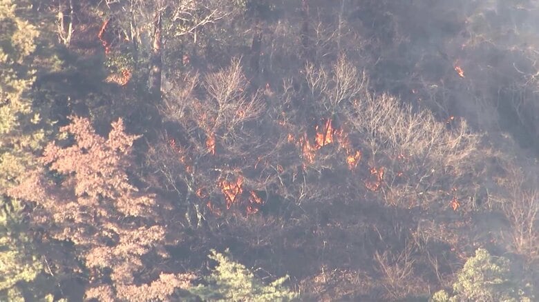 「火の勢い弱まってない」山梨の山林火災は発生から30時間超経過もいまだ鎮火のめど立たず…火の手が住宅のわずか100メートルの距離に迫る｜FNNプライムオンライン