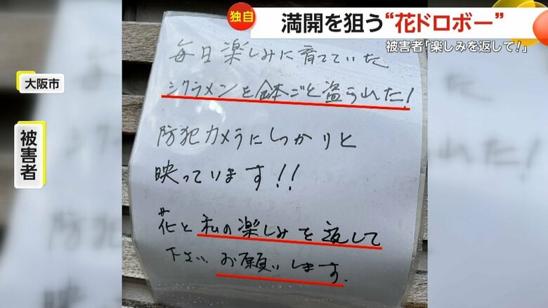 「満開を狙う“花ドロボー” 」玄関先のシクラメンしれっと持ち去る自転車の男　被害者「エイプリルフールだけどマジか…」　大阪市｜FNNプライムオンライン