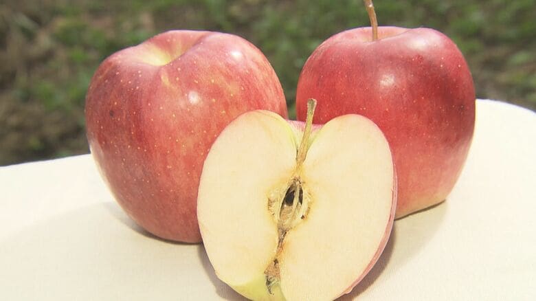 時間無制限×食べ放題で1000円…りんご狩りで大人気の果樹園 直売所では量り売りや新鮮なジュースも|FNNプライムオンライン