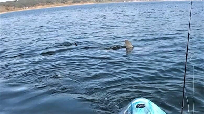【突然】｢襲われたらもう終わり｣巨大なサメがカヤックの周囲をグルグルと…長崎の海で釣りを楽しむ男性を襲った恐怖体験｜FNNプライムオンライン