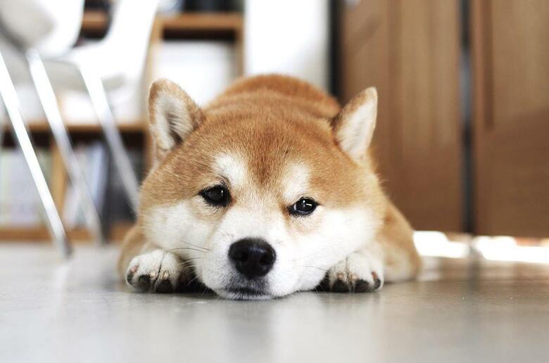 提供：エイトデザイン