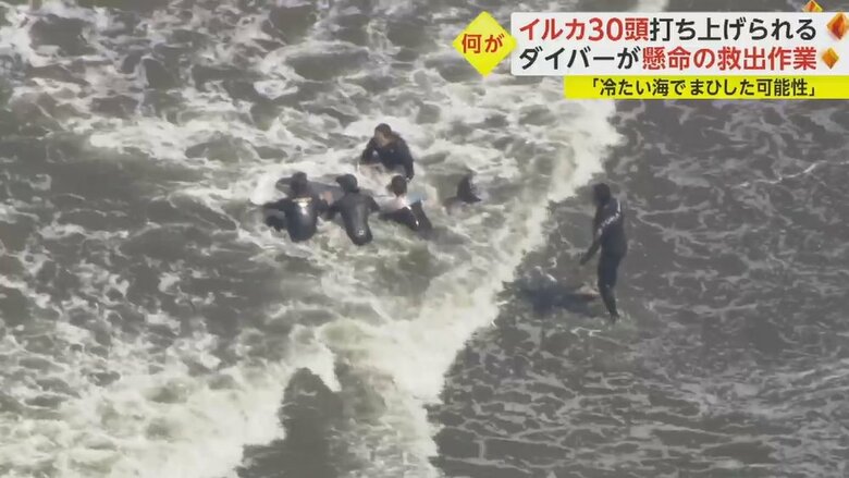 強い波に押し戻されてしまう