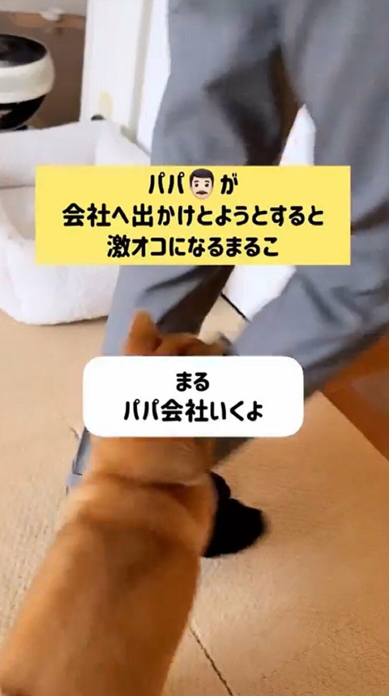 まるこちゃんは激オコモードに！