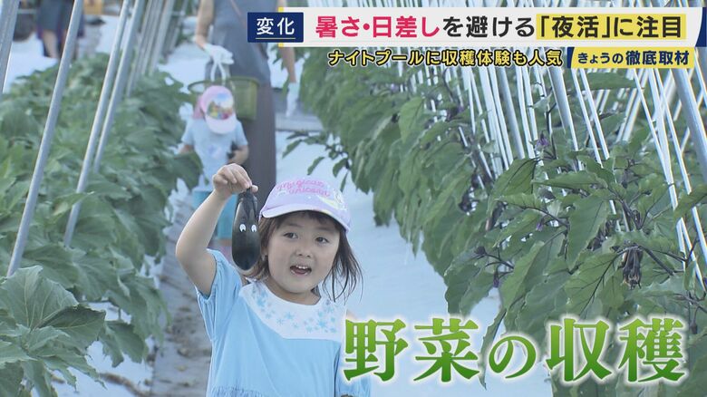  子どもが夢中のナイトファーム