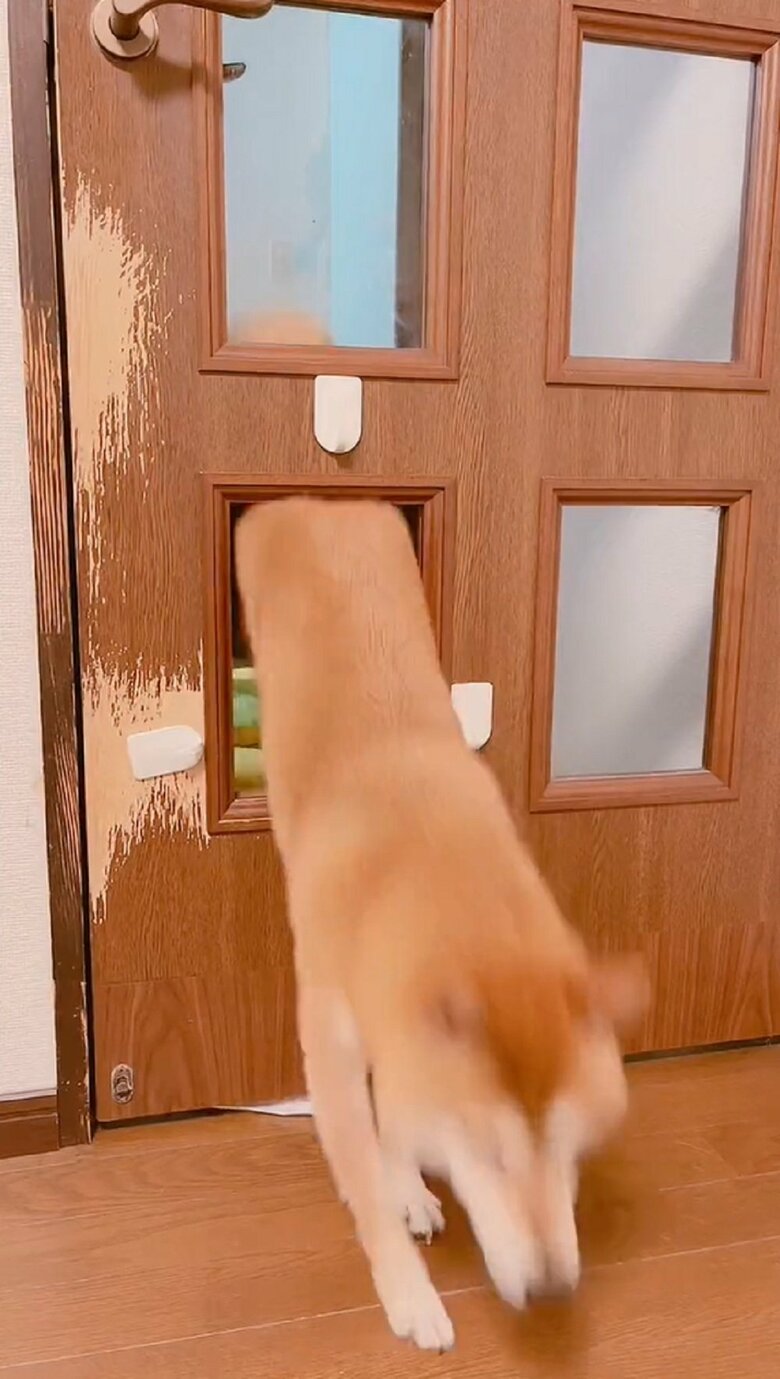 しかし、お尻をゴツン！