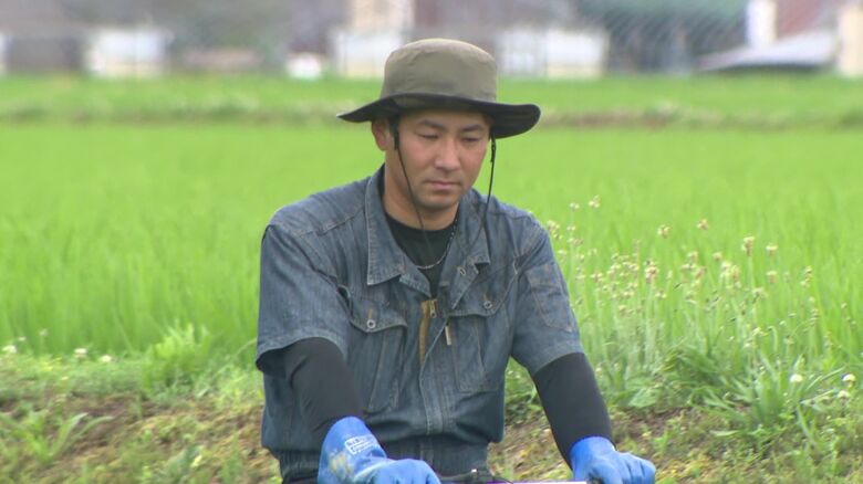 政府による生産量と流通量のコントロールが大事と話す