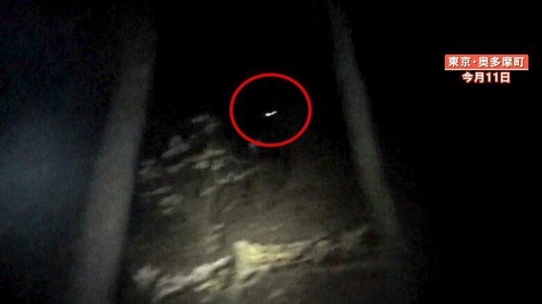 暗闇の中に小さく光が