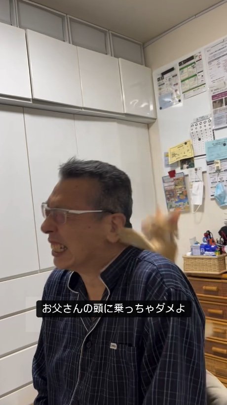 提供：cohakuさん