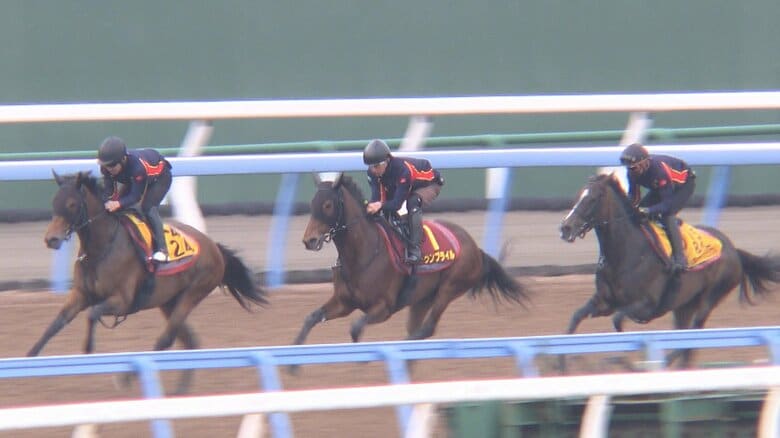 最終追い切りを行うウンブライル（中）
