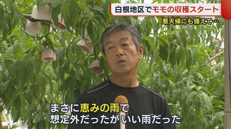 モモ農家　青山淳彦さん
