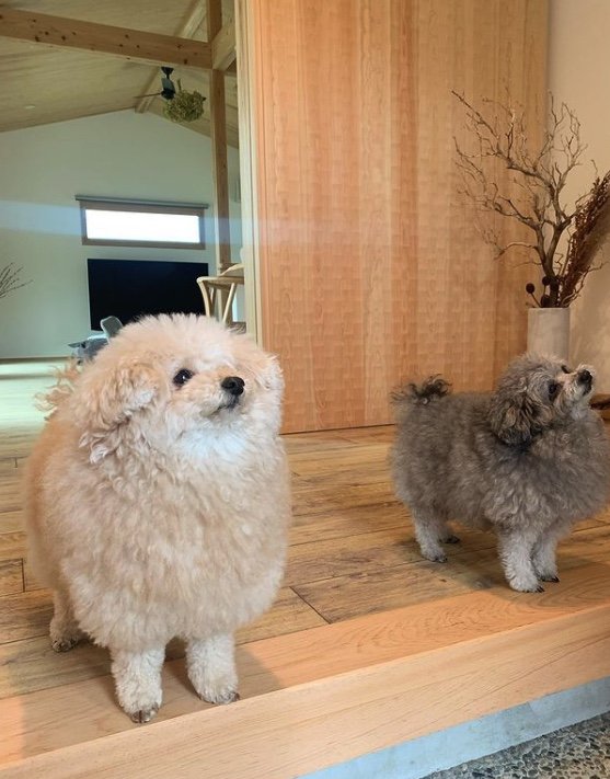 提供：＠tsuru_323さん