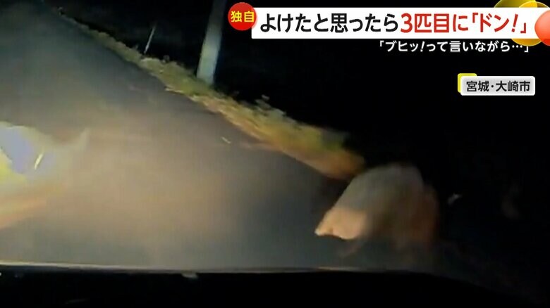 運転中の車の前に突然イノシシ3匹が飛び出し衝突する瞬間（22日午後6時半頃、宮城・大崎市）③