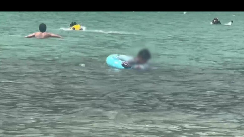 イルカが子どもを襲う一部始終⑯（全18枚）